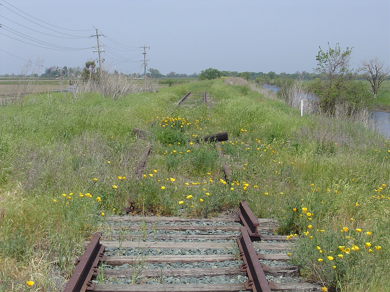 The Walnut Grove Branch Abandoned Rails