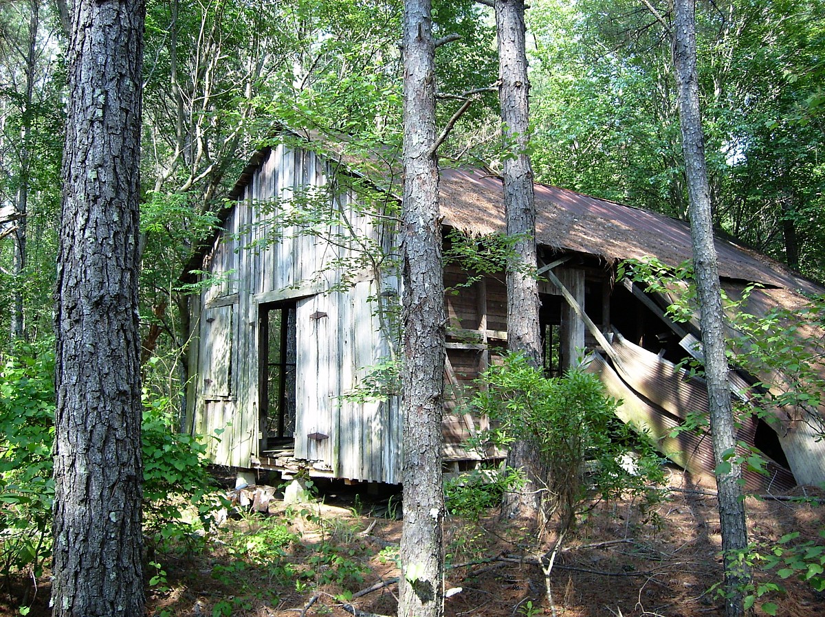 Brunswick to Nicholls, GA Abandoned Rails
