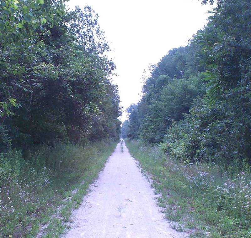 Leavittsburg to Mantua, OH Abandoned Rails