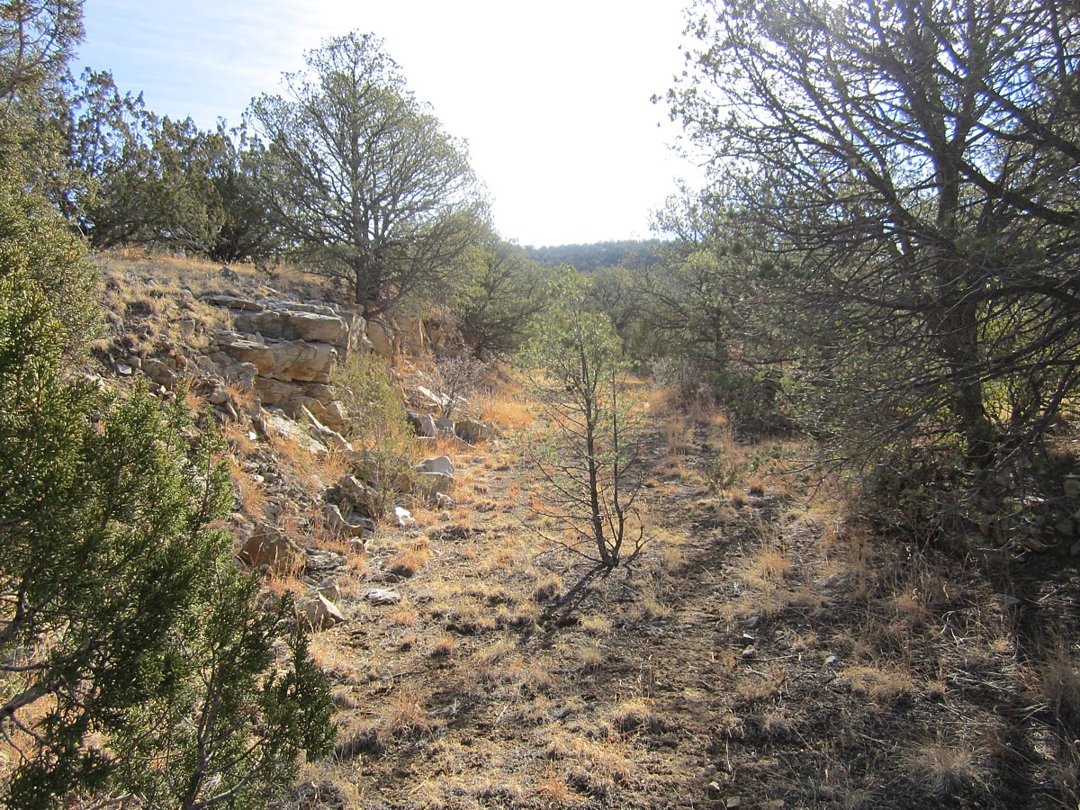 Carrizozo to Capitan, NM Abandoned Rails