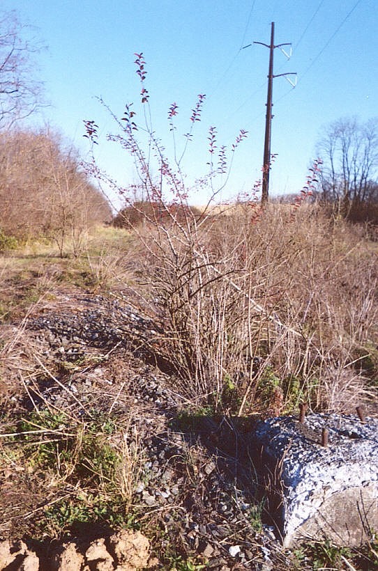 Shippensburg to Isle, PA Abandoned Rails