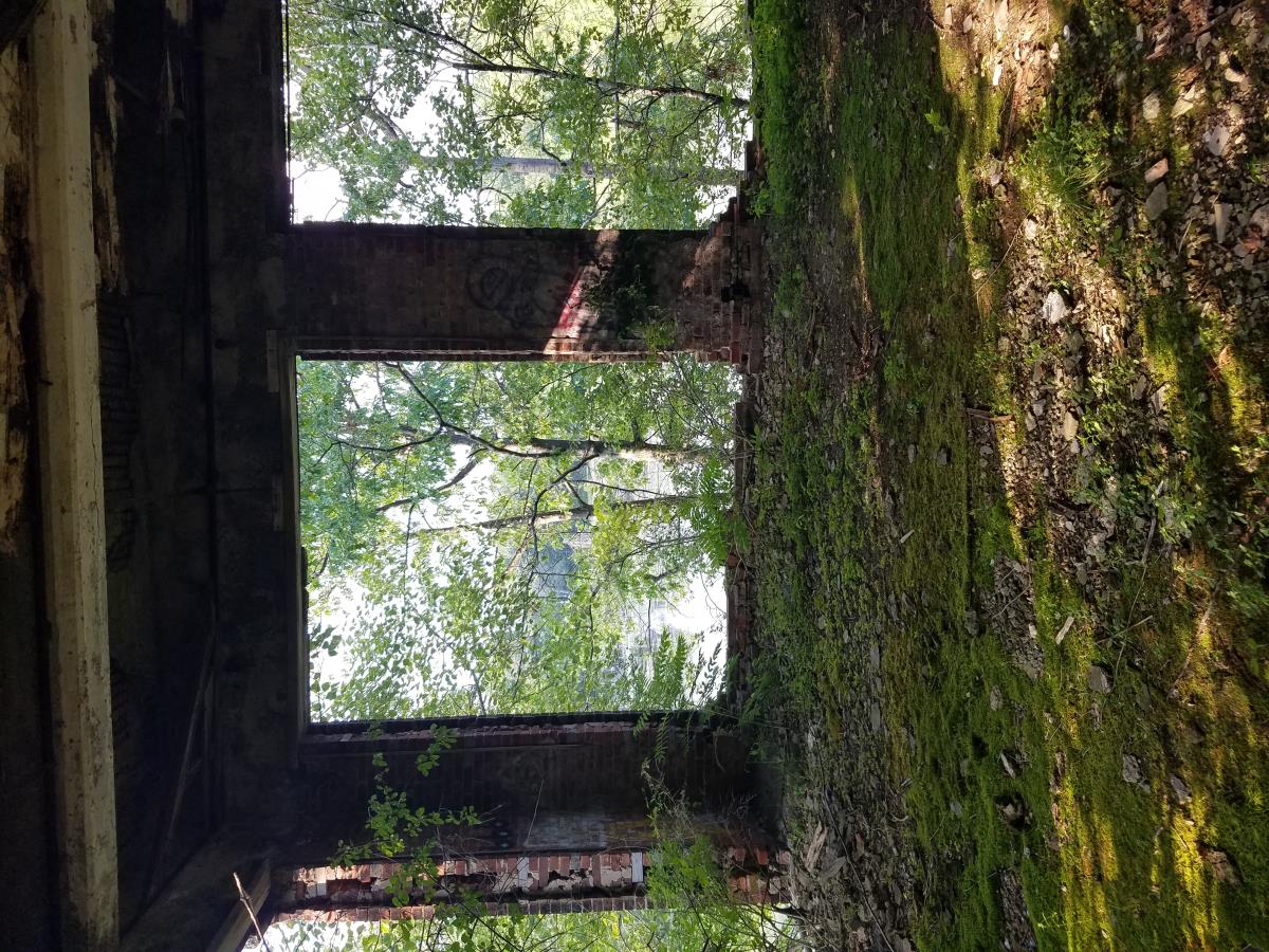 Maybrook, New York Abandoned Rails