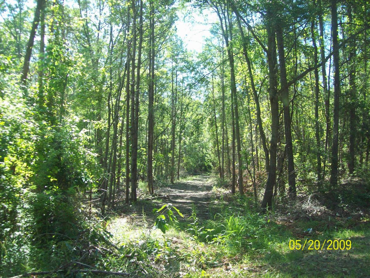 The Ware Shoals Railroad Abandoned Rails