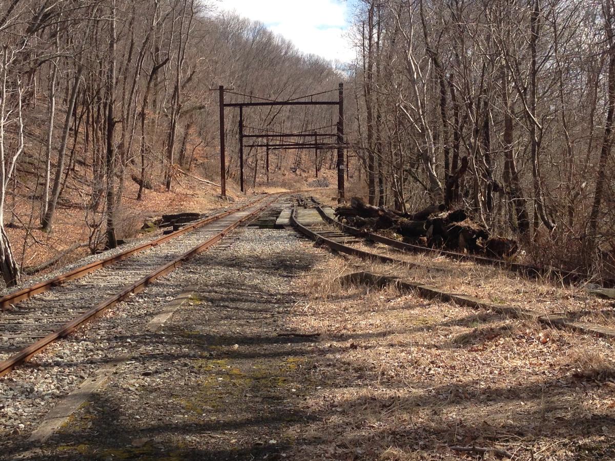 The Chester Creek Branch Abandoned Rails