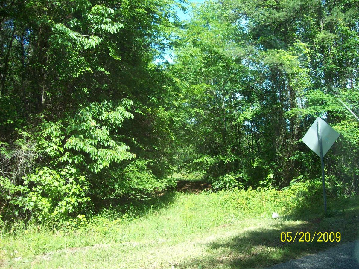 The Ware Shoals Railroad Abandoned Rails